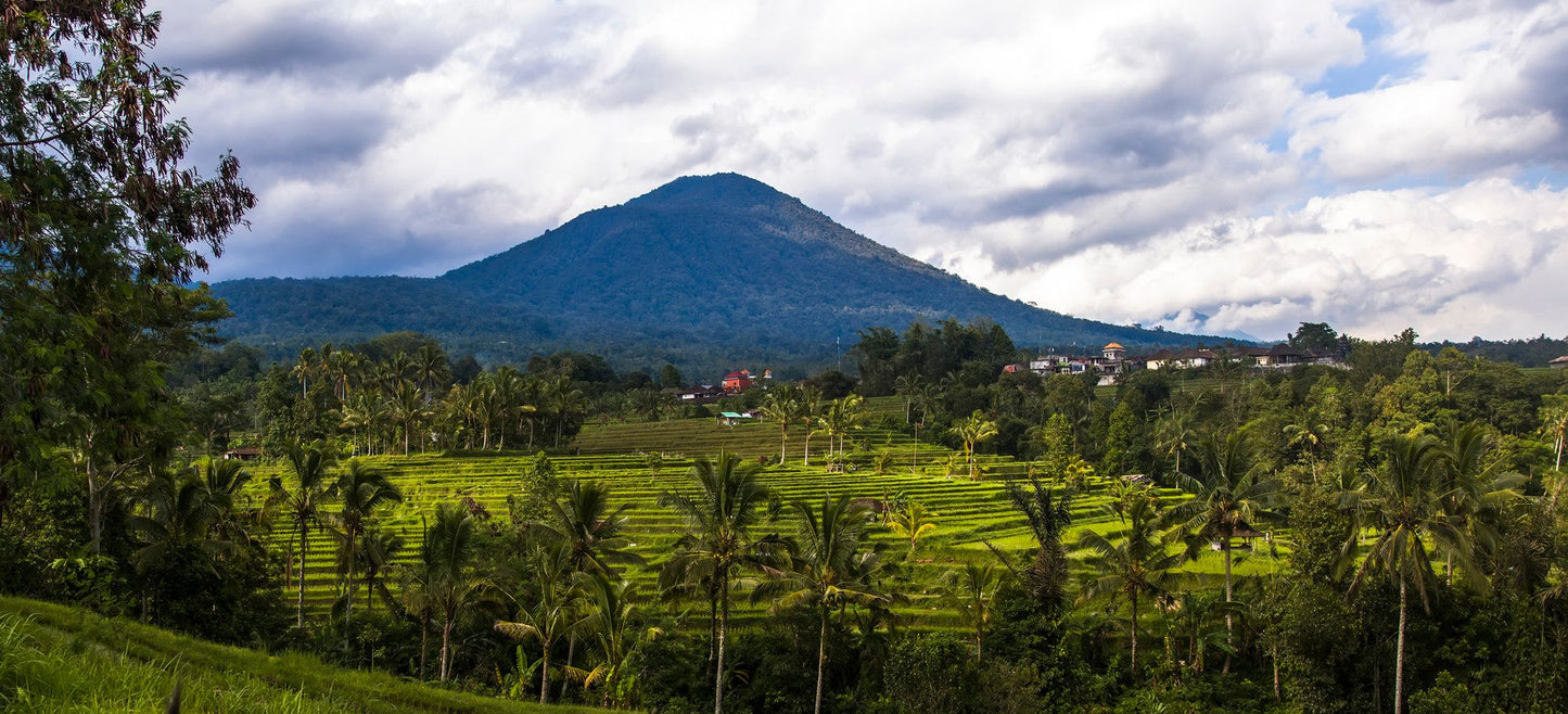 Paysage montagneux et plantations en Indonésie
